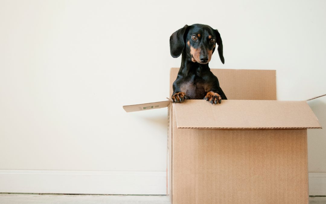 Don’t think outside the box